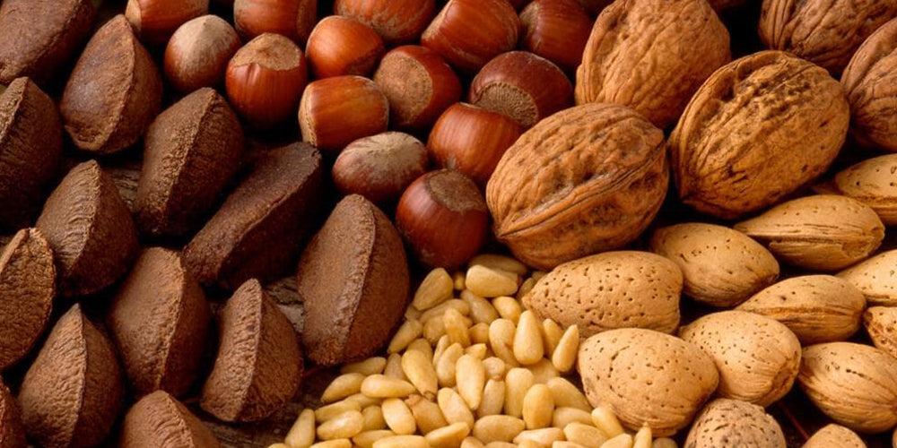 Frutta secca: elenco dei tipi di frutta secca, proprietà e benefici per il corpo