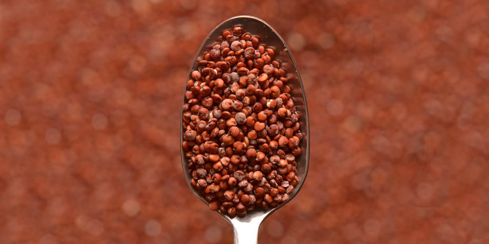Quinoa rossa: ricette, proprietà e valori nutrizionali
