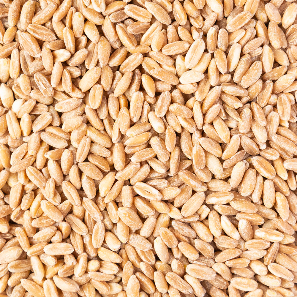Farro perlato