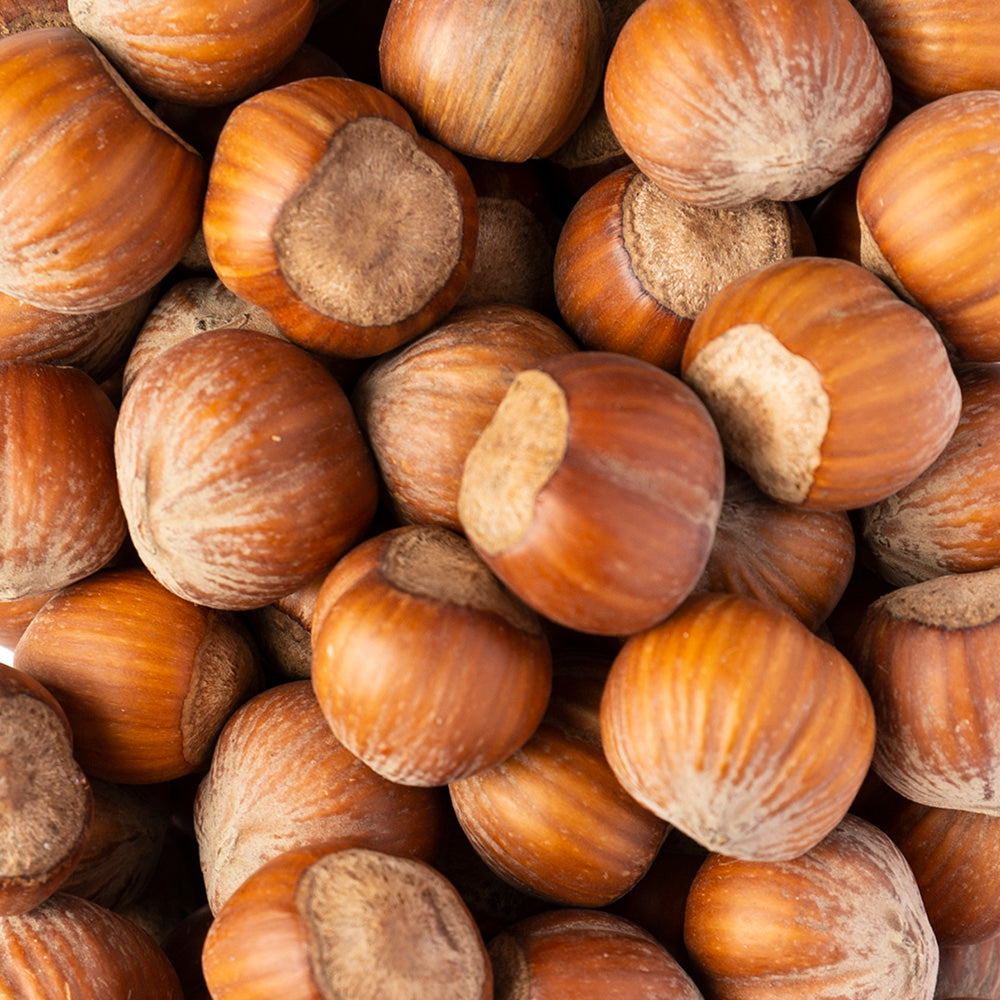 Nocciole in guscio Italia