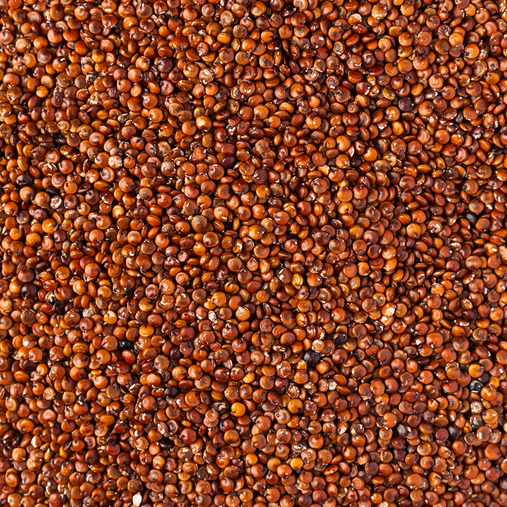 Quinoa rossa